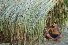 whare raupo